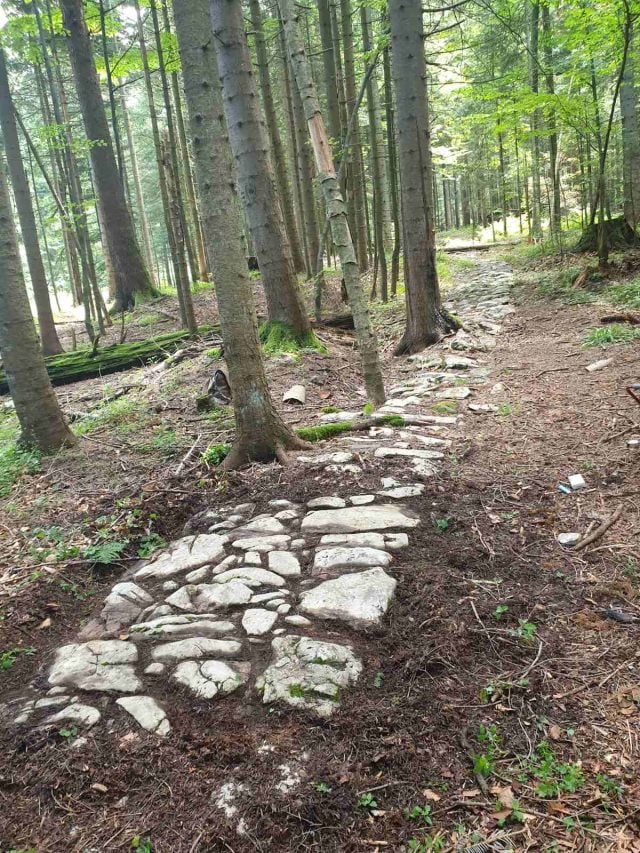 IMG-add2083ef739fdd544dacf7ab5f414a4-V