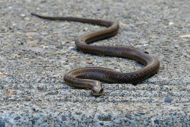 75ccefbe104590631a7e