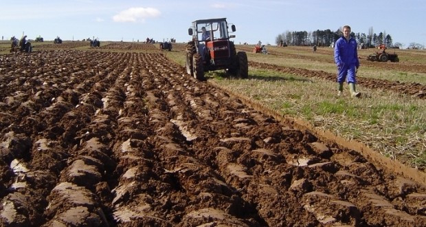 poljoprivreda-agriculture-new-620x330
