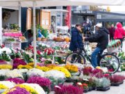 Na početku studenoga proljetne temperature. Blagdan Svih svetih uz obilje sunca