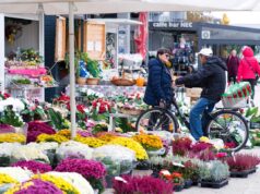 Na početku studenoga proljetne temperature. Blagdan Svih svetih uz obilje sunca