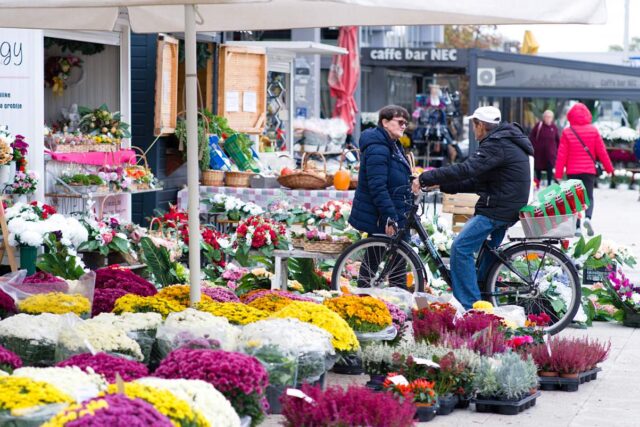 svi-sveti-cvijece-cijene-katd-6